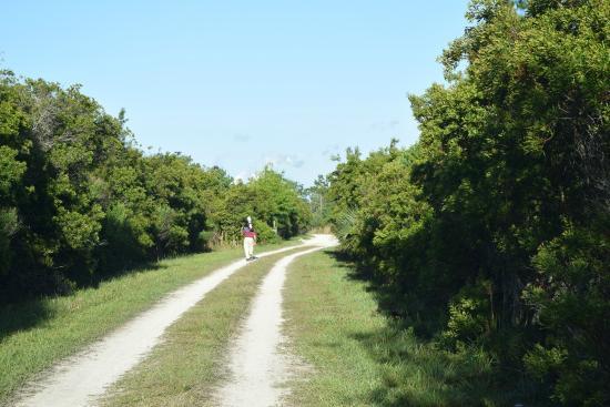 Hal Scott Preserve